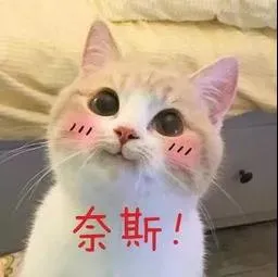 牙齿矫正