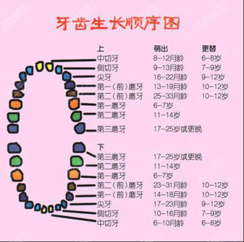 兒童牙齒的生長順序圖片