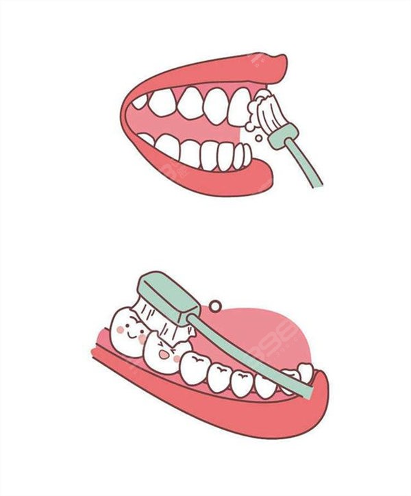 儿童刷牙的正确方法步骤