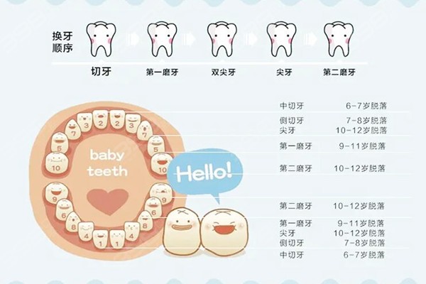 宝宝长牙时间和顺序