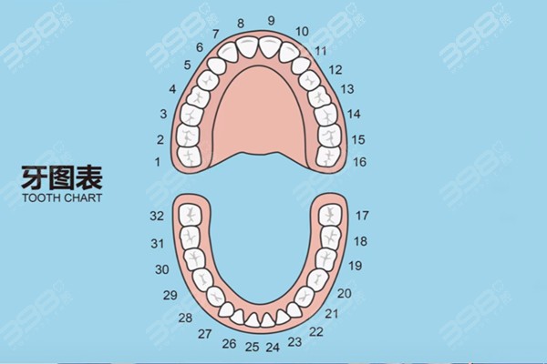 医生说缺失7号牙没事？